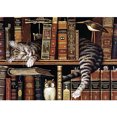 thumbnail image 1 of Taladro Pintura Diamante (DE5911) DIY 5D Resina Dibujo Completo Ronda Cat Dream Kit (B772) 50x70cm FLhrweasw Nuevo, 1 of 1