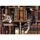 thumbnail image 1 of Taladro Pintura Diamante (DE5911) DIY 5D Resina Dibujo Completo Ronda Cat Dream Kit (B772) 20X30cm Hugtrwg Para estrenar, 1 of 1