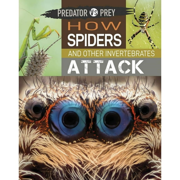 Predator vs Prey: Predator vs Prey: How Spiders and other Invertebrates Attack! (Paperback)