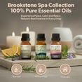 thumbnail image 6 of Brookstone Sleep Collection 100% Pure & Natural Blended Essential Oil 3 Pack, 6 of 7