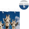 thumbnail image 3 of GZHJMY Funny Giraffes Shower Curtain Waterproof Washable Shower Bath Curtain 60x72 Inch Bathroomation Fabric Shower Curtains with 12 Hooks Room Decor, 3 of 6