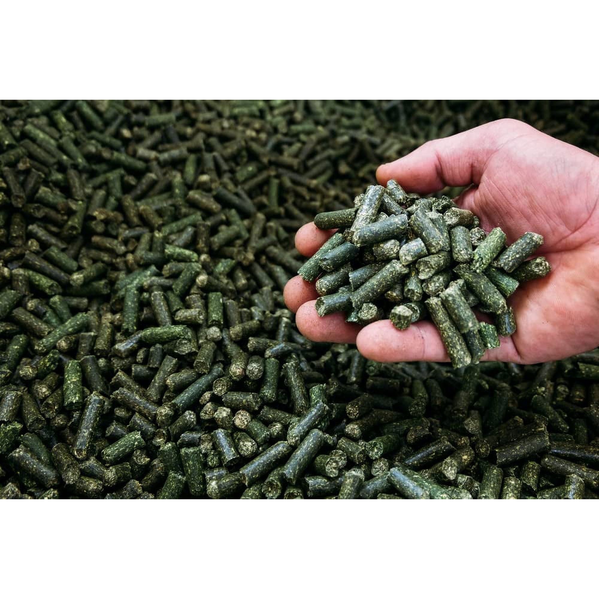 CZ Grain Alfalfa Pellets for Feeding - Guinea Pigs, Rabbits, Birds and More Small Animal Pets (1 Pound)