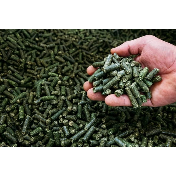 CZ Grain Alfalfa Pellets for Feeding - Guinea Pigs, Rabbits, Birds and More Small Animal Pets (1 Pound)