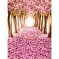 thumbnail image 2 of SAYFUT Studio Photo Video Photography Backdrops Vinyl Fabric Party Decorations Background Screen Props 5x7ft 14+ Colors, 2 of 4