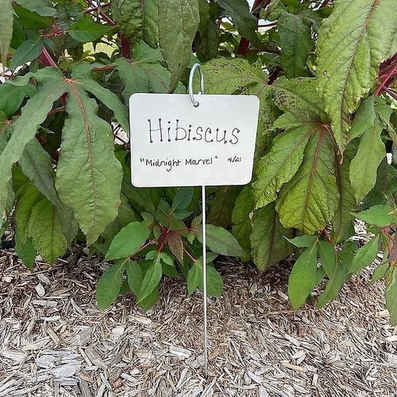 Tall Extra Large Garden Marker Plant Label, Made in USA, Large Sturdy Aluminum Plate with Thick Wire, 25 Plant Labels per set, PAW PAW EVERLAST LABEL COMPANY