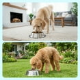 thumbnail image 6 of PetYupp Stainless Steel Dog Bowl with Non-Skid Base – 64 oz Dishwasher Safe Food & Water Steel Bowl, 6 of 6