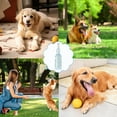 thumbnail image 4 of WozhuoToy Tough Dog Toy Rubber Bottle Squeaky Dogs Chew Toy Long Lasting Interactive Fetch Toy for Teething Tennis Ball Included, Medium/Small Dogs Interactive Dog Toys to Exercise and Accompany, 4 of 5