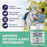 150-Day Supply Horse Amino Acid Supplement - Equine Amino Complex for Muscle, Topline & Recovery Support - Supports Strength, Tissue Repair & Vitality - Daily Horse Supplement Powder