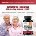 thumbnail image 6 of Blood Sugar Support Complex Supplement | Supports Healthy Blood Sugar Levels Already Within Normal Range | With Berberine, Cinnamon, Chromium, Turmeric, Apple Cider Vinegar, Bitter Melon, 60 Capsules, 6 of 10