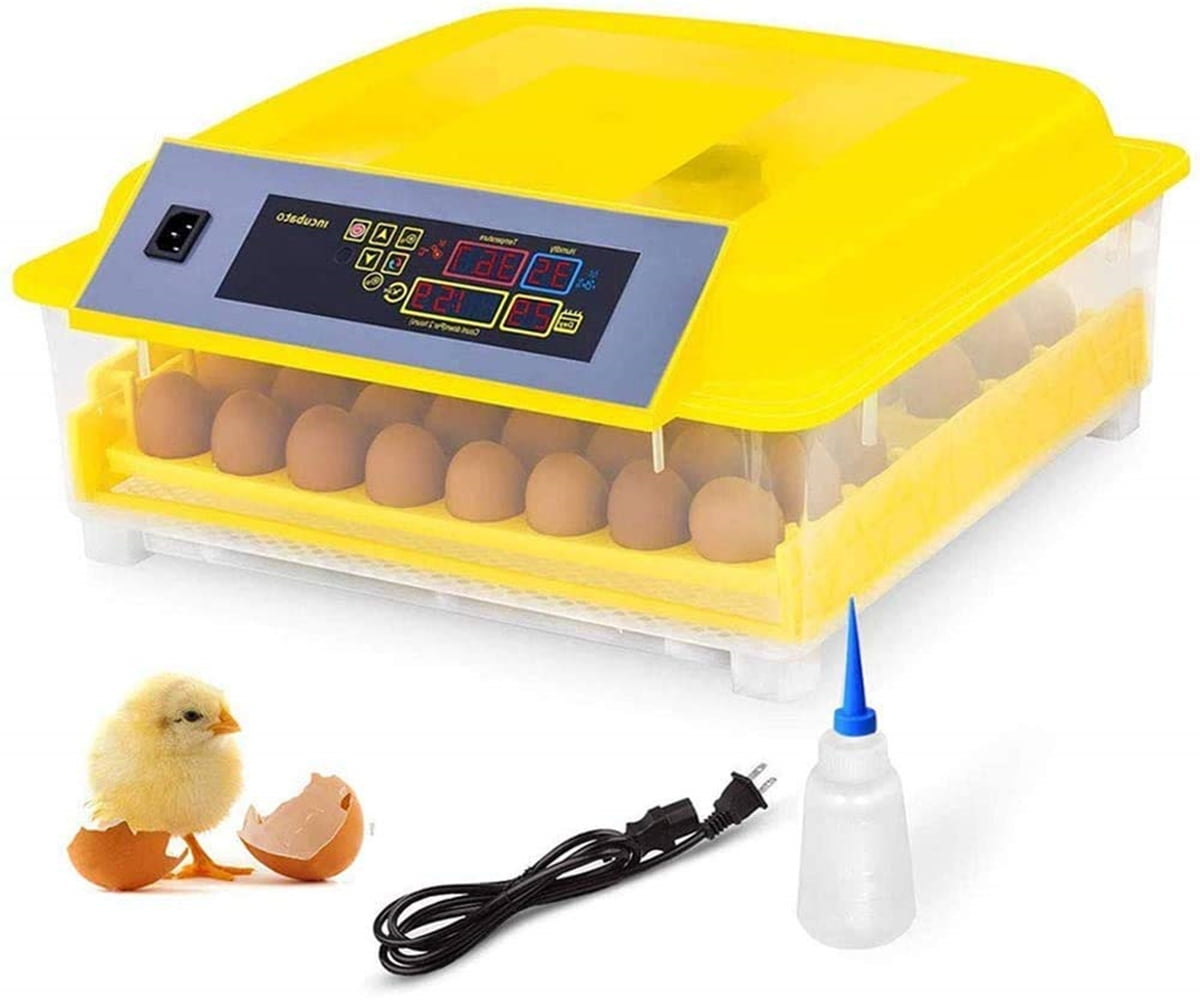 Private Jungle 48 Eggs Fully Automatic Digital Poultry Hatcher Machine Breeder with Temperature Control and Auto Turning for Hatching Chicken Duck Goose Quail Birds, Incubators Private Jungle 48 Eggs Fully Automatic Digital Poultry Hatcher Machine Breeder with Temperature Control and Auto Turning for Hatching Chicken Duck Goose Quail Birds, Incubators