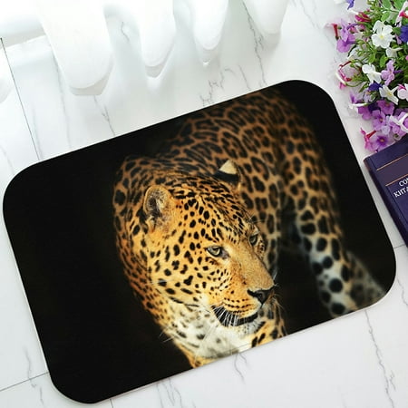 PHFZK Wildlife Doormat, Nature Series of Animal Leopard Doormat Outdoors/Indoor Doormat Home Floor Mats Rugs Size 23.6x15.7