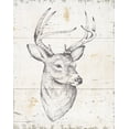 thumbnail image 1 of Deer Wild and Beautiful II - Wildlife Animal Framed Canvas, 1 of 3