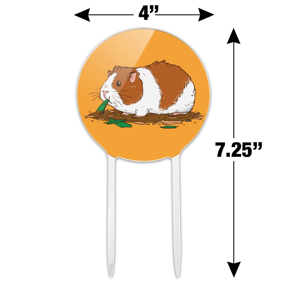 guinea pig cake topper