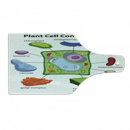 

Science Cutting Board Chart Showing Plant Cell Components in Cartoon Style Science Living Structure Decorative Tempered Glass Cutting and Serving Board Wine Bottle Shape Multicolor by Ambesonne