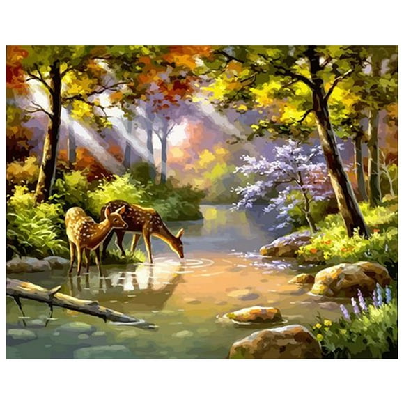 12x16 inch DIY oil painting, frameless digital canvas painting