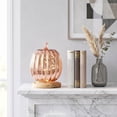 thumbnail image 5 of Yyuenw Rose Gold Glass Pumpkin Light, LED Timer Battery Operated Halloween Fall Decor, Mercury Glass Table Centerpiece for Home Mantel, 5 of 8