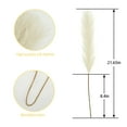 thumbnail image 4 of Hierba artificial de pampa sintética, 50 unidades, color beige, 55 cm, 4 of 9