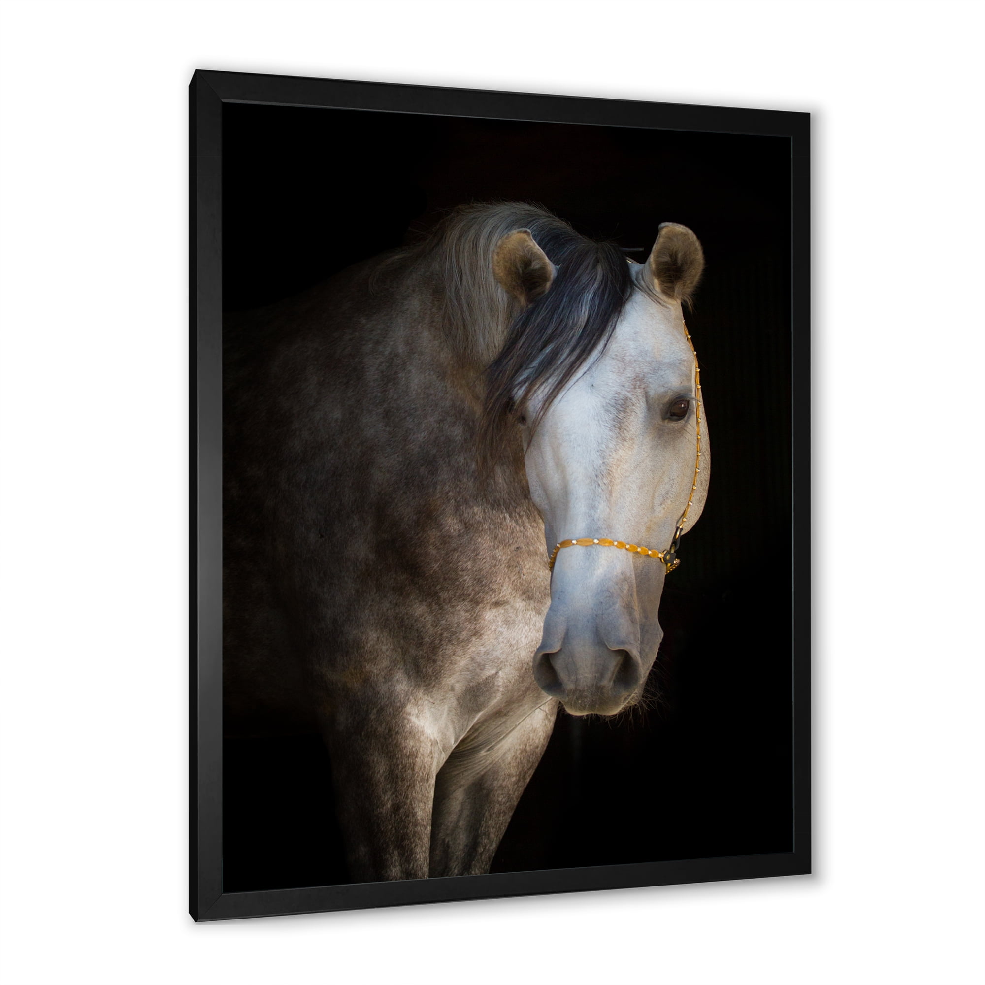 Designart 'Close Up Portrait Of A White Horse' Farmhouse Framed Art Print