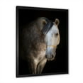 thumbnail image 2 of Designart 'Close Up Portrait Of A White Horse' Farmhouse Framed Art Print, 2 of 4