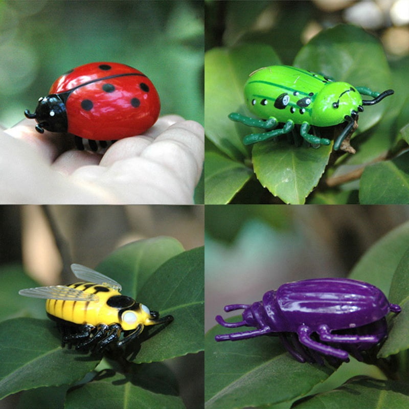 ladybug cat toy