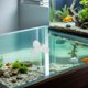 thumbnail image 1 of BESTYASH 10Jgo Sujetadores Acrílicos Transparentes Para Divisor De De Peces Fácil Instalación, 1 of 6