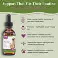 thumbnail image 3 of PetAlive Thyro-Pet – Herbal Thyroid Support Supplement for Dogs & Cats - Liquid Formula with Bladderwrack, Nettle, and Astragalus - Plant-Based Daily Drops for Healthy Thyroid Function – 2 oz Tinctur, 3 of 9
