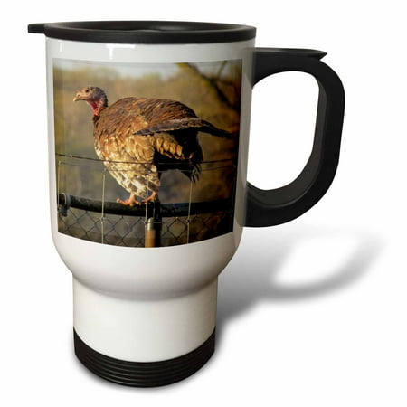 

3dRose Wild Turkey at dusk Travel Mug 14oz Stainless Steel