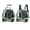 Green, variant on Transparent Pet Carrier Trolley, PC Material with Ventilation Holes, 3-in-1 Rolling Suitcase for Travel Camping Hiking, Fits Small Pets(Pink)