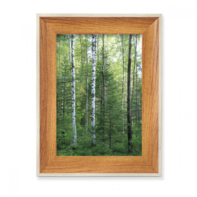Changbai Mountain Gray White Fir Desktop Wooden Photo Frame Display Picture Art Painting Multiple Sets