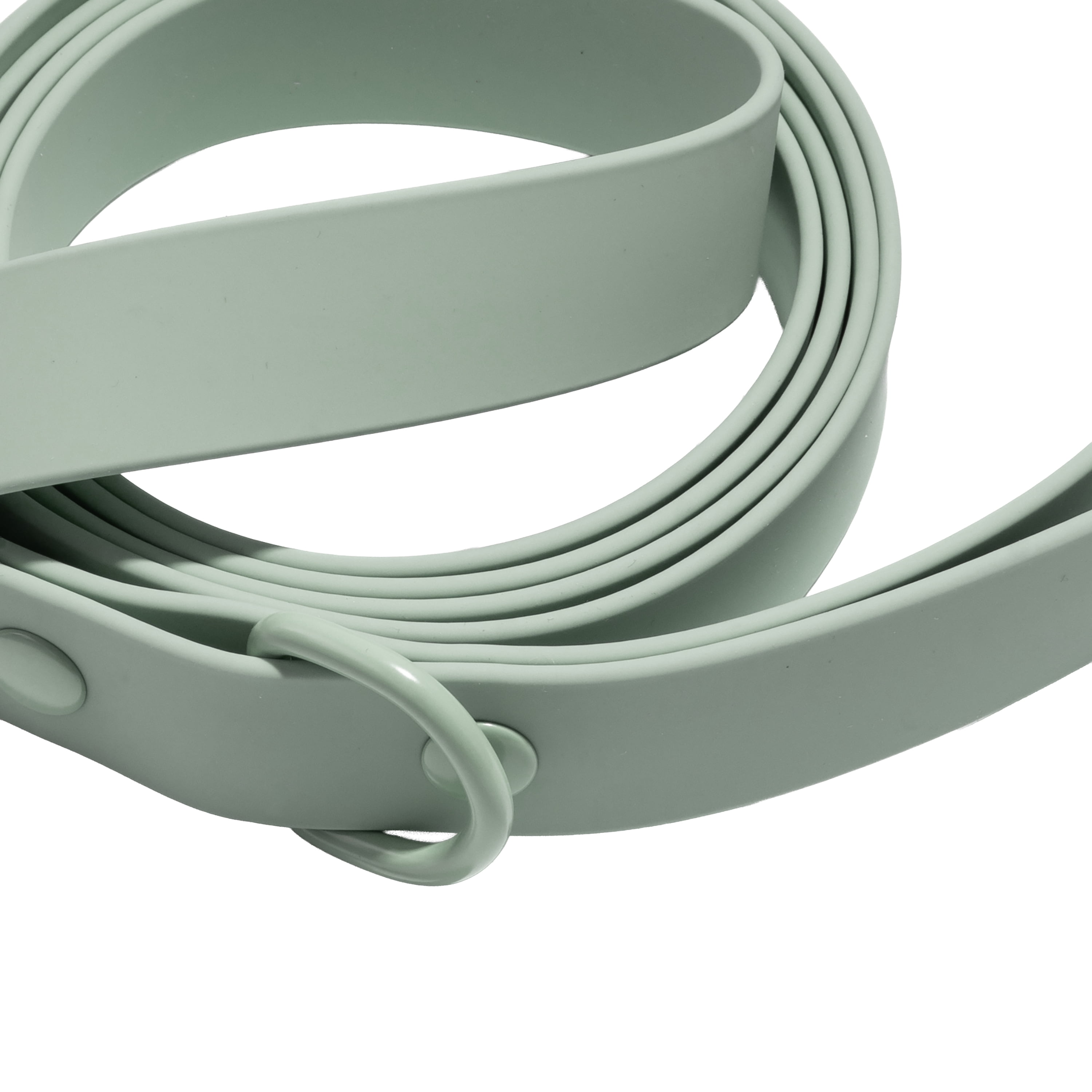 Vibrant Life 6' TPU Water Resistant Standard Dog Leash, Sage Green