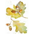 thumbnail image 2 of Loreth, Lanie 11x14 White Modern Wood Framed Museum Art Print Titled - Acorns and Oak Leaves II, 2 of 4