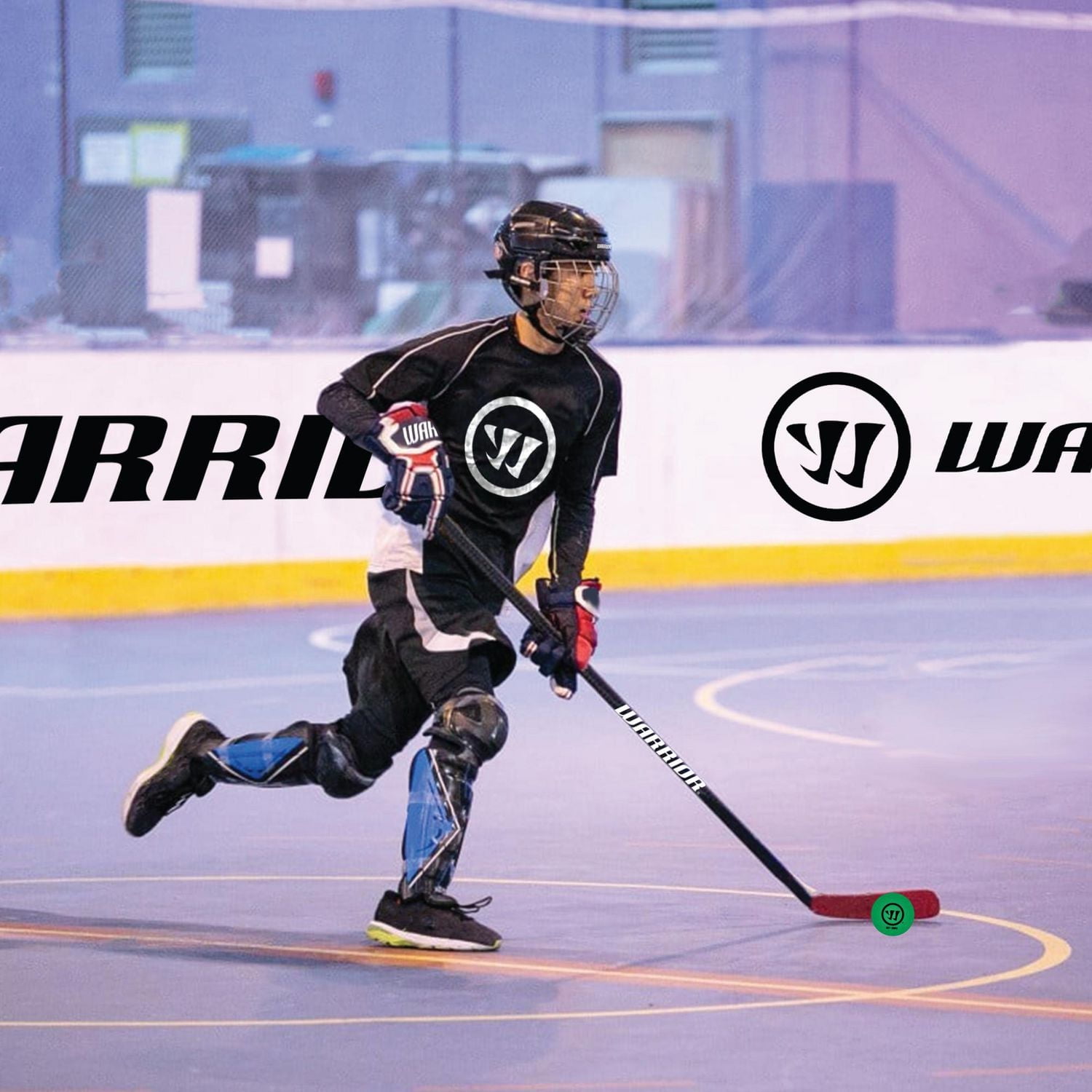 Warrior Street Hockey Balls - Assorted Colours, 2 5/8"