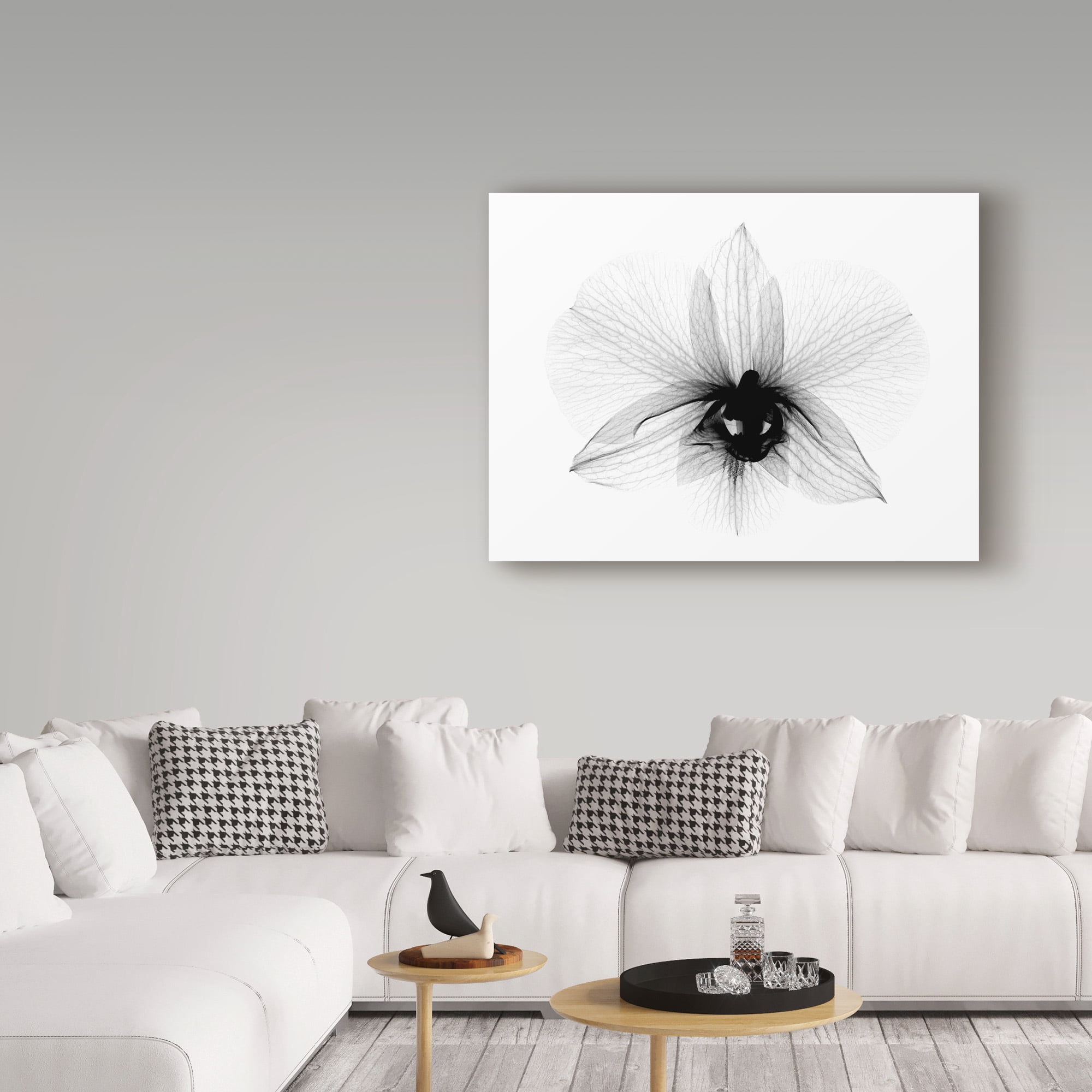 Trademark Fine Art 'Dendrobium 2 X Ray Orchid' Canvas Art by Bert Myers