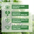 thumbnail image 5 of Saw Palmetto Extract - Support Hair Growth, Urinary Tract & Prostate Health and Overall Balance - 120 Capsules, 5 of 9
