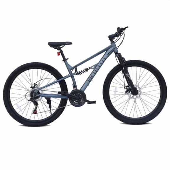 RAISTYW Mountain Bike for Adults, 24 inch Outdoor Cycling Bike, 21-Speed/High-Carbon Steel/Disc Brake MTB Bicycle, Adjustable Ergonomic Seat Bikes, Gray