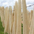 thumbnail image 3 of Goriertaly 4pieces Easy-to-Clean Loofah Cloth For Oil Stain-Free Kitchen Which Is Easy, 3 of 6