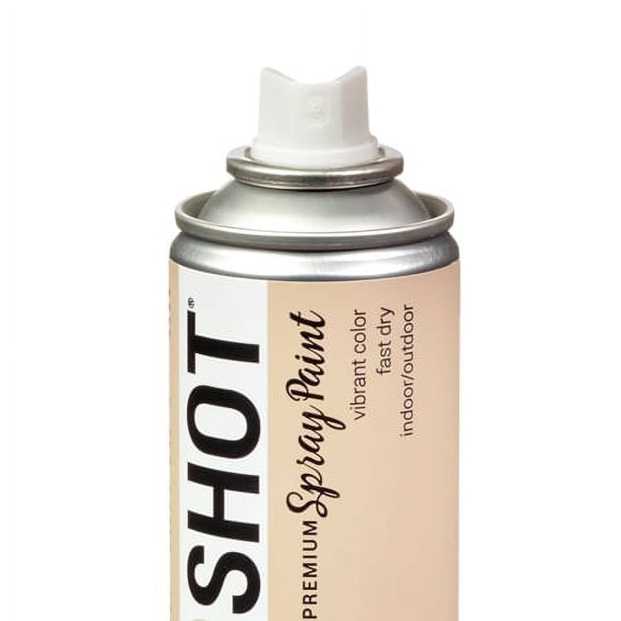 COLORSHOT Satin Spray Paint, Skinny Dip (Beige), 10 oz, Fast-Drying Acrylic Paint, Indoor & Outdoor Use