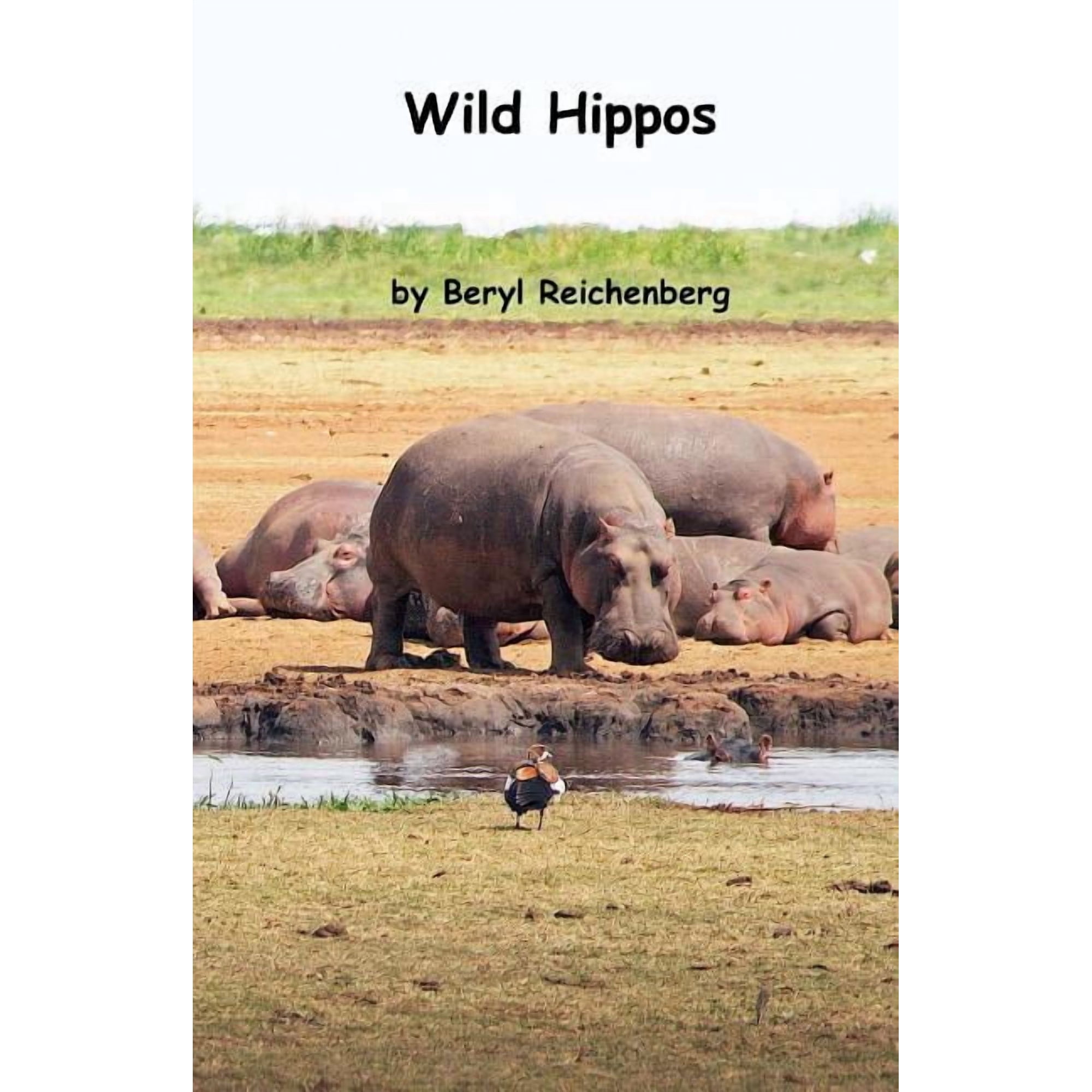 Wild Hippos (Paperback)