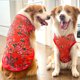 thumbnail image 3 of Chaleco refrescante de verano de malla transpirable para mascotas para perros pequeños, medianos y grandes, ropa ultrafina para perros grandes, linda camiseta con estampado para gatos y cachorros bara, 3 of 5