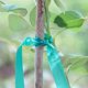 thumbnail image 3 of Rollo de cinta elástica para atar, 1/2" (45 m), cinta para atar plantas, gruesa y resistente, de vinilo verde, ideal para jardinería, para interiores y exteriores, patios y plantas., 3 of 3