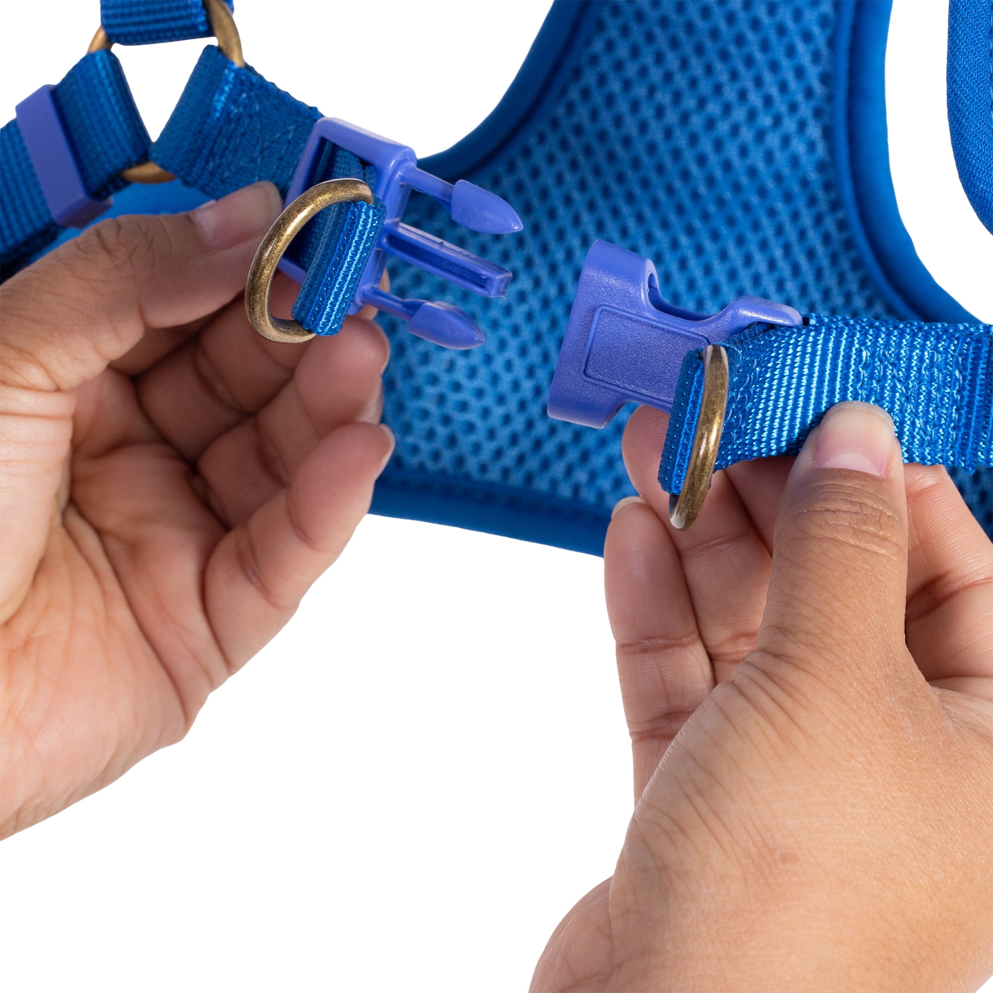 (2 pack) The Dodo: Adjustable Blue Mesh Harness - Small