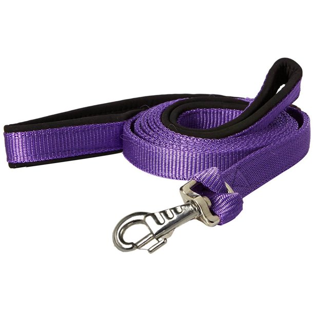 Padded Double Handle Dog Leash w Warranted Snap Design 3/4" x 6