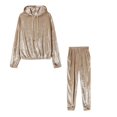 thumbnail image 3 of Hvyesh Women's Velour Tracksuits Loungewear 2pc Set Hoodies Pullover Comfy Sweatpants Warm Velvet Joggers Going Out Outfits, 3 of 8