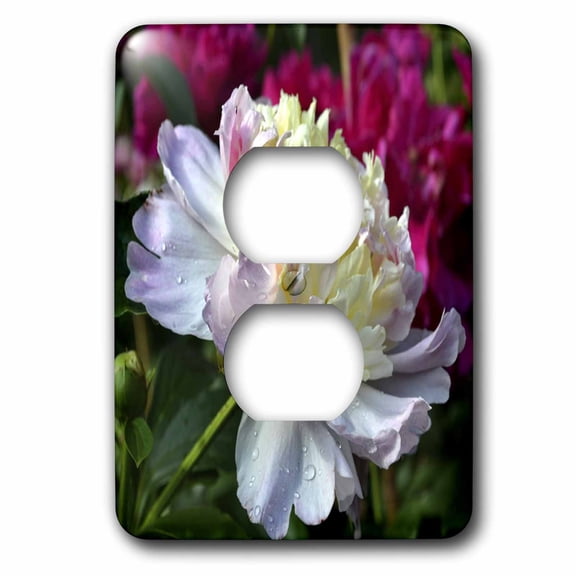 3dRose, Soft Pink and Yellow Peony Flower, 2 plug outlet cover