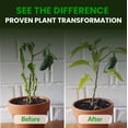thumbnail image 6 of Humboldts Secret CalMag & Iron | Calcium, Magnesium & Chelated Iron Nutrient Fertilizer | Hydroponic Supplies for Vegetative & Flowering Growth in Soil, Coco, Hydroponics or RO Water | 1 Gallon, 6 of 10