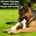 thumbnail image 4 of Tough Five-Knot Cotton Rope for Dogs Ideal for Chewing and Playtime, 4 of 8