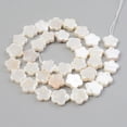 thumbnail image 2 of 1 Strand Electroplate Natural Freshwater Shell Beads Strands Flower 10.5x11x3mm Hole: 0.8mm about 35pcs/strand 14.84 inch~14.96 inch, 2 of 3