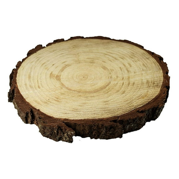 Large Wood Slices Centerpieces