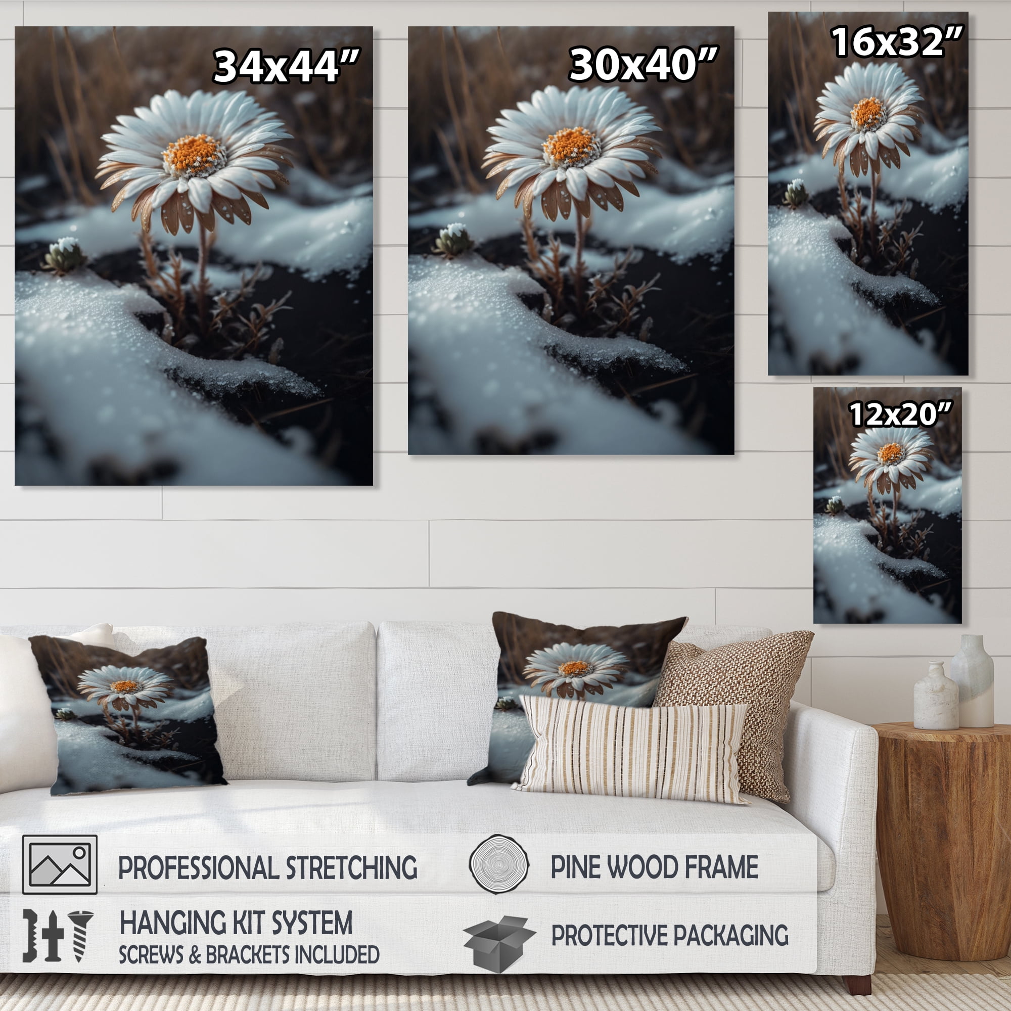 Designart A Blooming White Daisy Flower In Winter Canvas Wall Art
