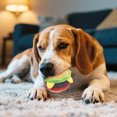 thumbnail image 1 of Squeaky Pizza Toy for Puppies Interactive Play Chew Teething and Training Material for Small Dogs, 1 of 3